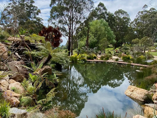Beauty of National Rhododendron Gardens