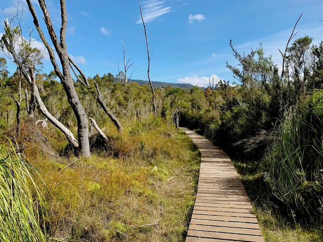 Platypus Walk