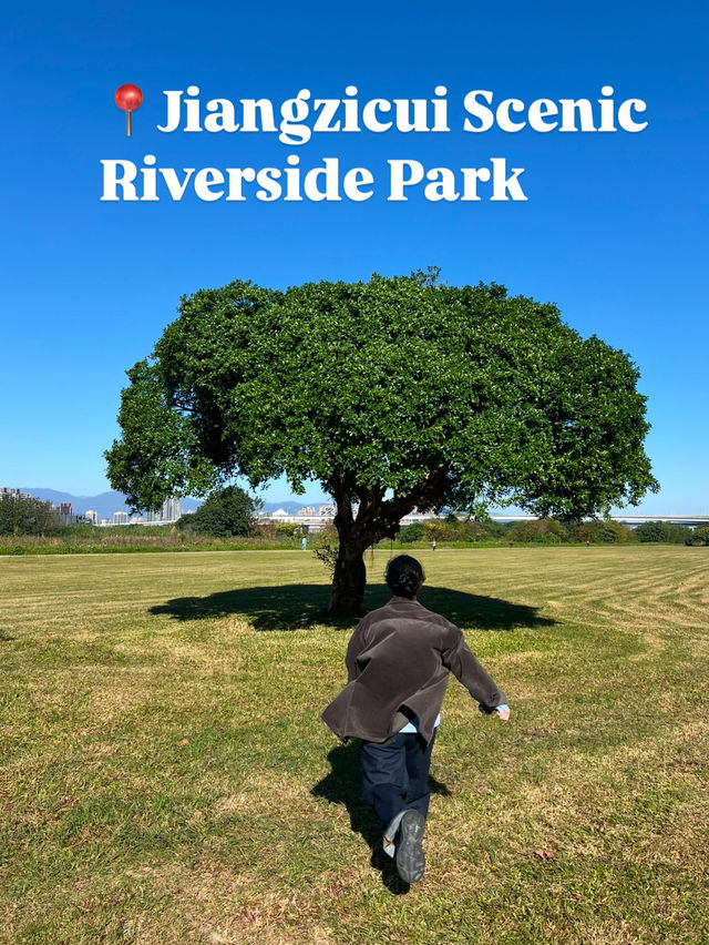 인생샷 100장은 거뜬히 남기는 타이베이 예쁜 공원 총집합!🌳🌴
