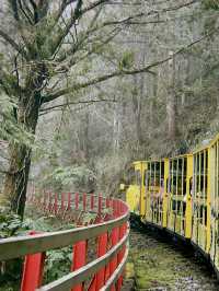 Taipingshan🍃 Nature’s Hidden Masterpiece