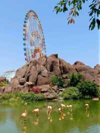 Vinpearl Theme Park: A Family Adventure in Nha Trang