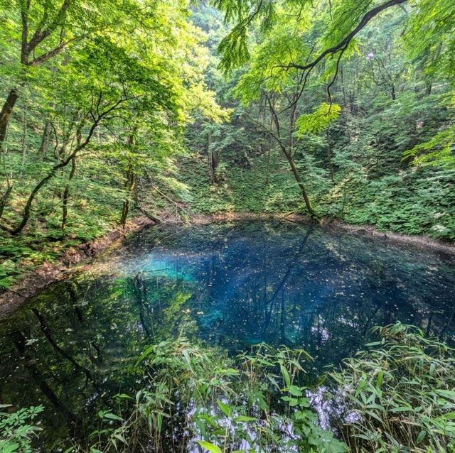 【青森県】十二湖〜神秘の青と自然〜
