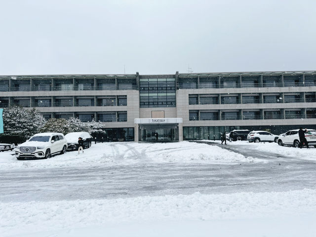 ❄️☃️🧤 제주 겨울의 기억 속 한 장면