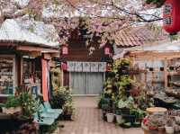 ที่พักขุนวางสีชมพูฟีลญี่ปุ่น 🌸💕🎏