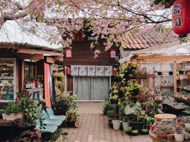 ที่พักขุนวางสีชมพูฟีลญี่ปุ่น 🌸💕🎏
