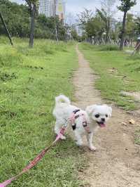 🐾강아지의 천국 부산시민공원🌳