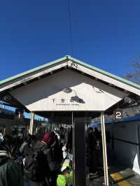 日本🇯🇵新宿到下吉田   找尋富士山美景🗻一日遊 