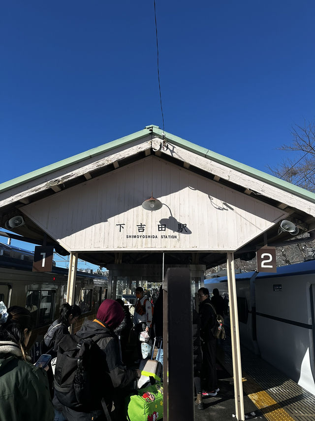 日本🇯🇵新宿到下吉田   找尋富士山美景🗻一日遊 