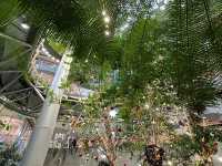 Botanical garden inside The Ring shopping mall