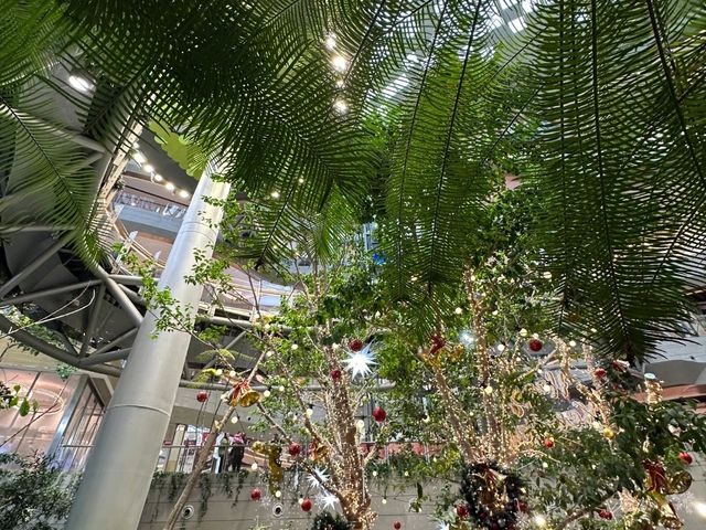 Botanical garden inside The Ring shopping mall