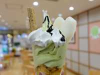 พิพิธภัณฑ์ลูกแพร์ (Nijisseiki Pear Museum)