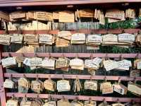 หมู่บ้านญี่ปุ่น Japanese Village อยุธยา