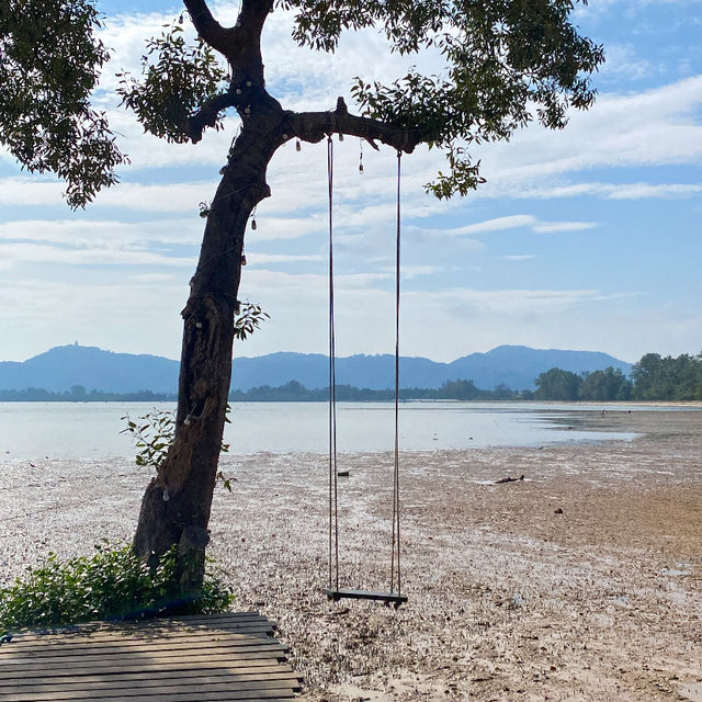 “𝙂𝙧𝙤𝙫𝙚 𝙋𝙝𝙪𝙠𝙚𝙩 🌿🏕️ คาเฟ่สไตล์แคมป์ปิ้ง