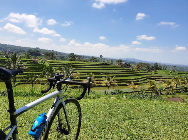 Jatiluwih Rice Terraces