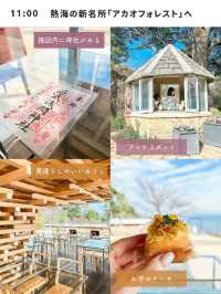  【保存版】熱海 1泊2日 春のひとり旅プラン(桜以外は夏秋冬も楽しめる)