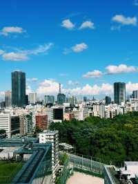 Shinjuku’s Urban Charm: Wagyu Delights & Rooftop Views