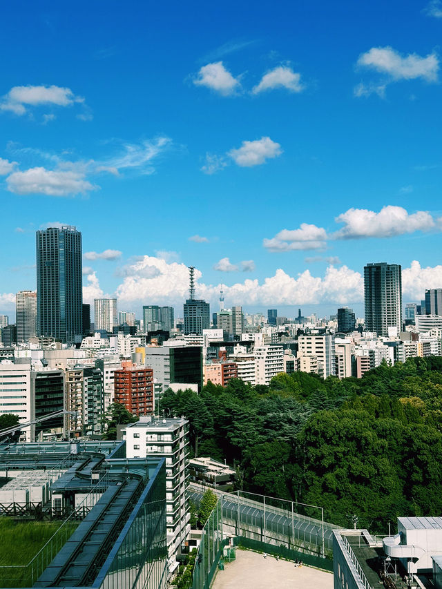 Shinjuku’s Urban Charm: Wagyu Delights & Rooftop Views