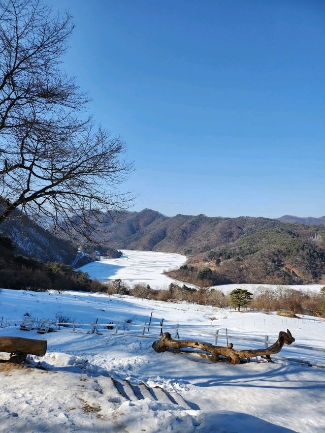 다양한 동물들을 만날 수 있는 천국 해피초원목장💙