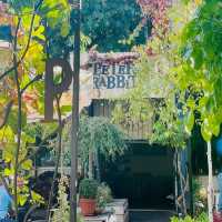 Whimsical Wonders at Peter Rabbit Cafe