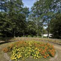 長居公園-都市裡的一片清新綠洲