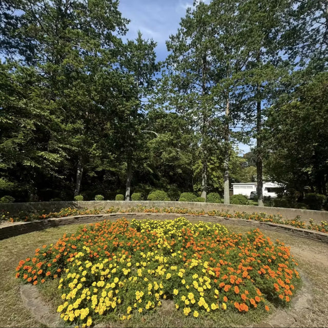 長居公園-都市裡的一片清新綠洲