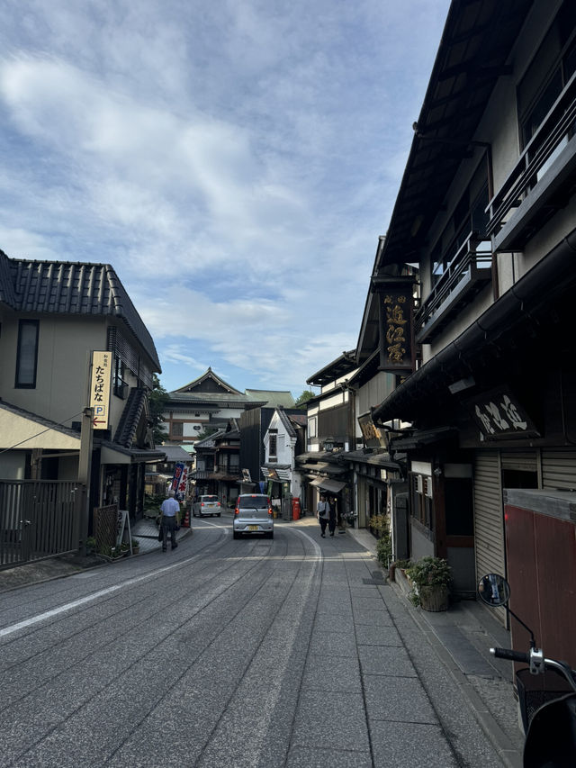 Naritasan Day Trip: Unveiling a Hidden Gem Near Tokyo