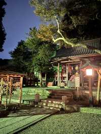 ⛩️ ✅🍡武蔵一宮氷川神社 攻略ガイド – 2000年の歴史を感じる大宮のパワースポット