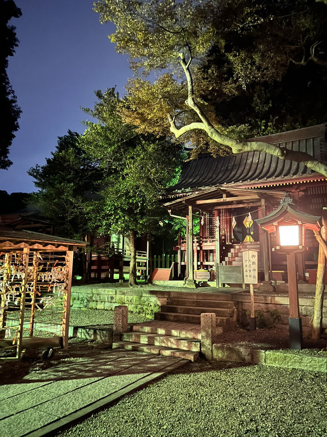 ⛩️ ✅🍡武蔵一宮氷川神社 攻略ガイド – 2000年の歴史を感じる大宮のパワースポット