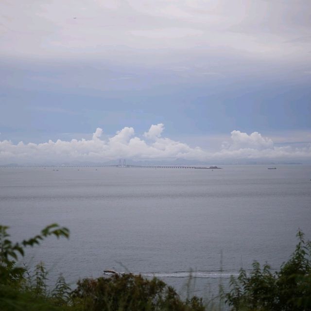 香港 香港貓島 end