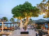 Beach Club Sunday Brunch