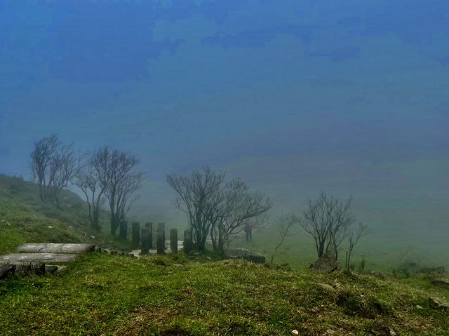 草嶺古道看山水