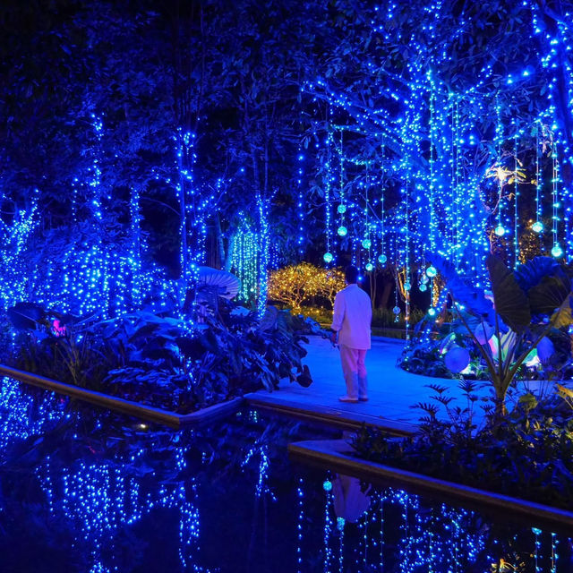 Magical Illusion 🎇✨