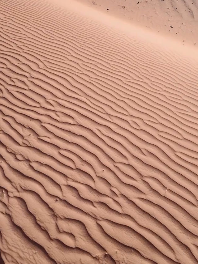 🏜️梅爾祖卡撒哈拉沙漠探險】— 星空、駱駝與金色日出 🌅✨