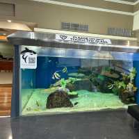 Southport sharks (valuable and yummy lunch)