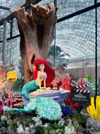 Disney Garden of Wonder - Floral Fantasy