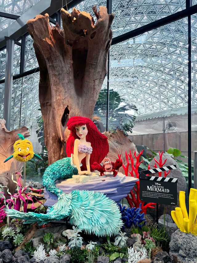 Disney Garden of Wonder - Floral Fantasy