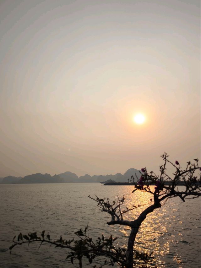 Ha Long Bay: Island Hopping & Cave Discoveries
