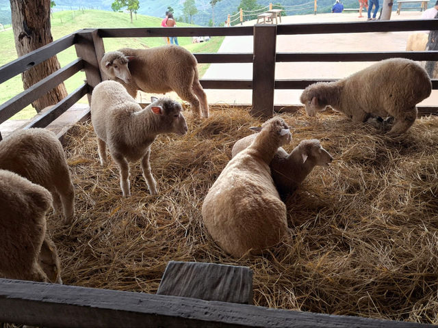 Akha Farmville, Chiang Rai: An immersive cultural retreat in the mountains