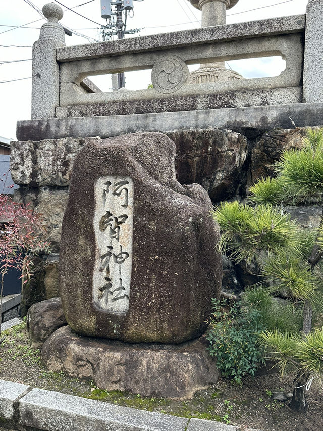 【大阪】倉敷觀光😎 限定粉色達摩和花纏守😍