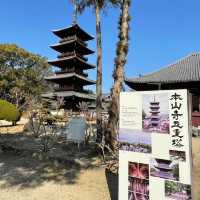 🇯🇵【香川県】四国八十八ヶ所霊場 第70番札所 本山寺