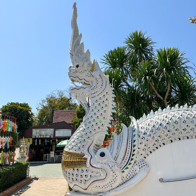 มูเตรู 🙏ขอพร พระพิฆเนศ วัดป่าแดด เชียงใหม่