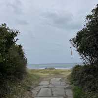 3월 제주도 여행 가볼만한 곳 광치기해변🩵