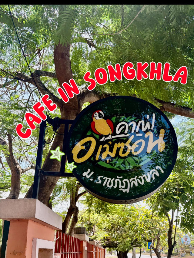 หลงป่าคาเฟ่🌲 กลางเมือง สงขลา