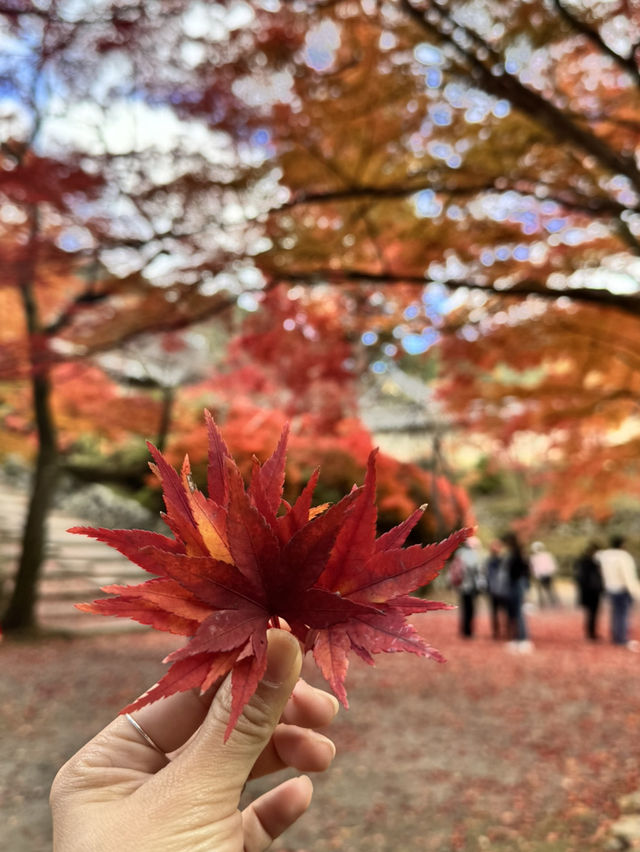 Kyoto - Bishamon-do temple