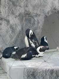 東京｜都市叢林的一方恩賜 百年前戰場變身上野動物園