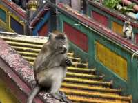 吉隆坡必訪景點：黑風洞（Batu Caves）🌈🕉️