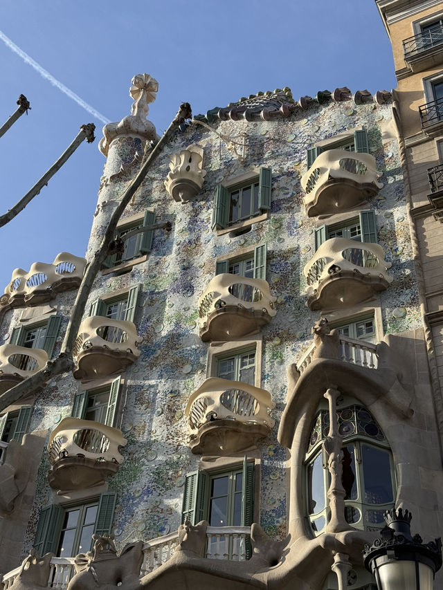 【個人的1番✨🏝️】カサ・バトリョ —ガウディ建築の最高傑作🏠