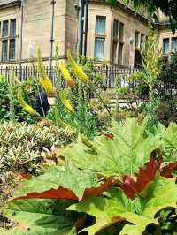 Peace Gardens