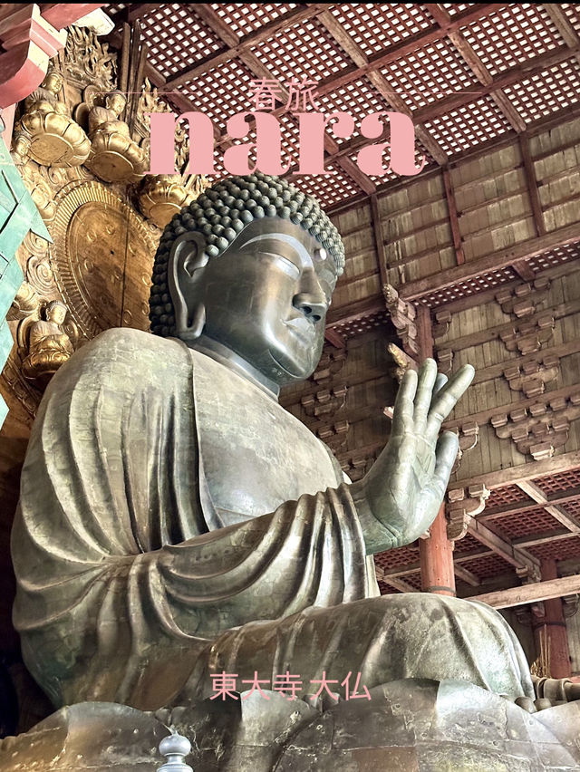 【奈良×春旅】 世界最大級の木造建造物