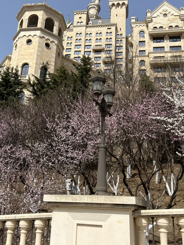 다롄말고 중국 최고의 호텔 캐슬호텔 🇨🇳